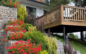 Gogodz Chalet Resort